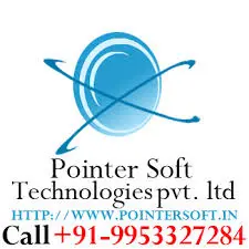 Pointer Soft Technologies Pvt Ltd